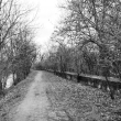 Proklet� cesta