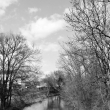 Lehk� depresti�no 1